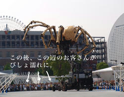 20090613_4.jpg