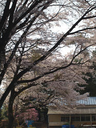 p20100418_1.jpg