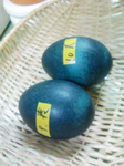 emu2.png