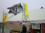 NEC_0211.jpg