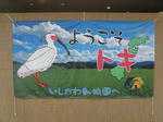 de016d26.JPG