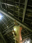 f6cdc626.jpg