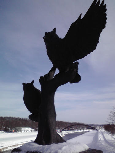 P1000005.JPG