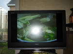 IMG_1213.jpg