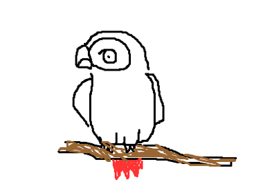 fimg_11196524781.png