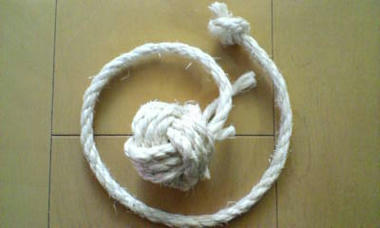 D1000117.JPG