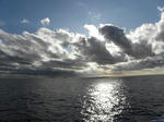 DSCN0470.jpg