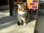 275529f4.jpg