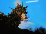 DSCN0670.jpg