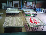 MA330068.JPG