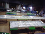 MA330187.JPG