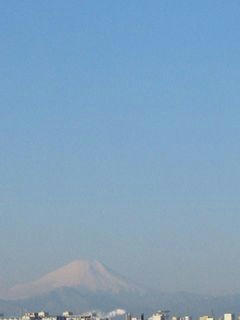 2月16日に朝7時半ごろの富士山02