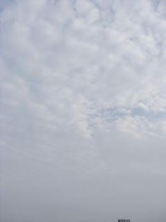 8月14日朝8時半ごろの空02