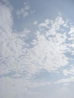 8月14日8時ごろの空01