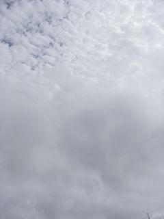 8月31日朝9時20分ごろの空01