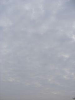 9月4日朝6時50分ごろの空01
