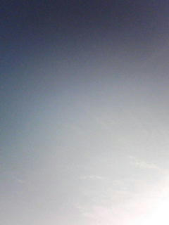 080911_0639.jpg