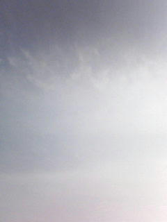 080911_0808.jpg