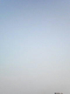 080913_0742.jpg