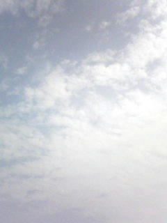 080914_1004.jpg