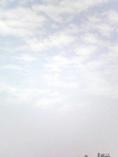 080914_1005.jpg