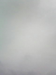 080915_0733.jpg