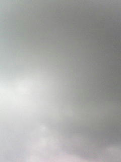 080915_0929.jpg