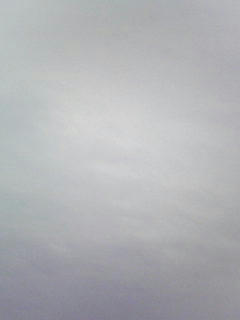 080916_0629.jpg