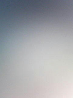 080917_0632.jpg