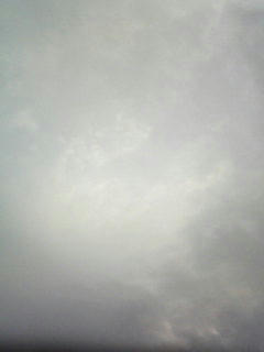 080919_0613.jpg