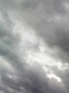 080920_0733.jpg