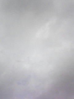 080921_0851.jpg