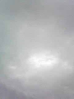 080922_0740.jpg