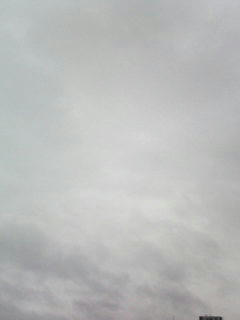 080922_0741.jpg