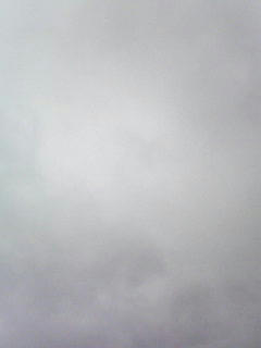 080922_0847.jpg