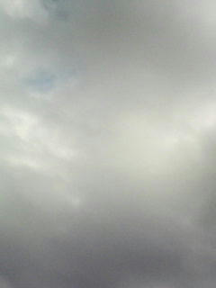 080923_0740.jpg