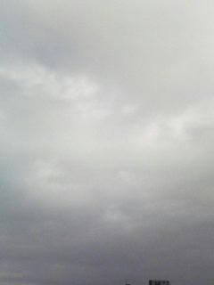 080923_0741.jpg