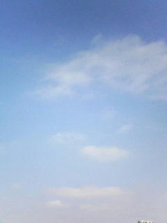 080923_0929.jpg