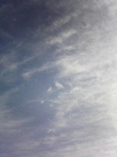 080924_0759.jpg
