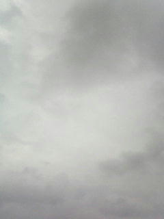 080925_0656.jpg
