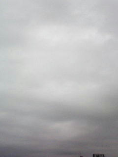 080925_0800.jpg