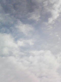080926_0810.jpg