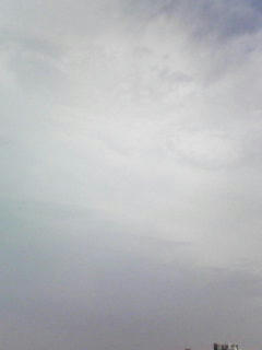 080926_0811.jpg