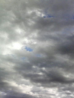 080927_0709.jpg