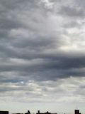080927_0656.jpg