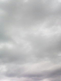 080928_1032.jpg