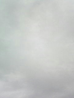 080929_0731.jpg