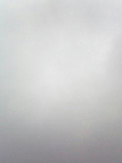 080930_0806.jpg