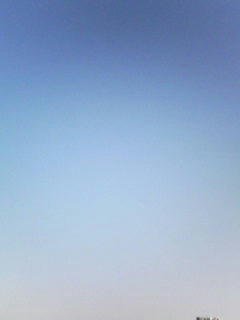 081002_0739.jpg