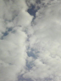 081003_0741.jpg